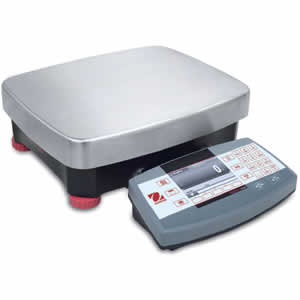 Ohaus Stainless Steel Scale